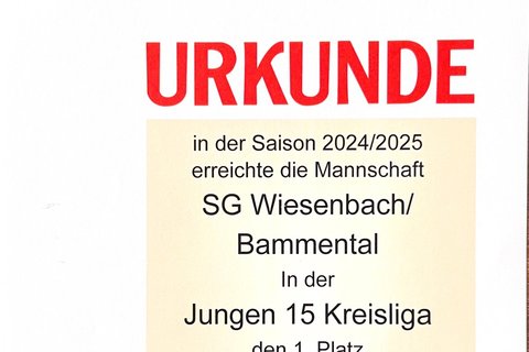 Urkunde: Jungen 15 Kreisliga 2024/25, 1. Platz
